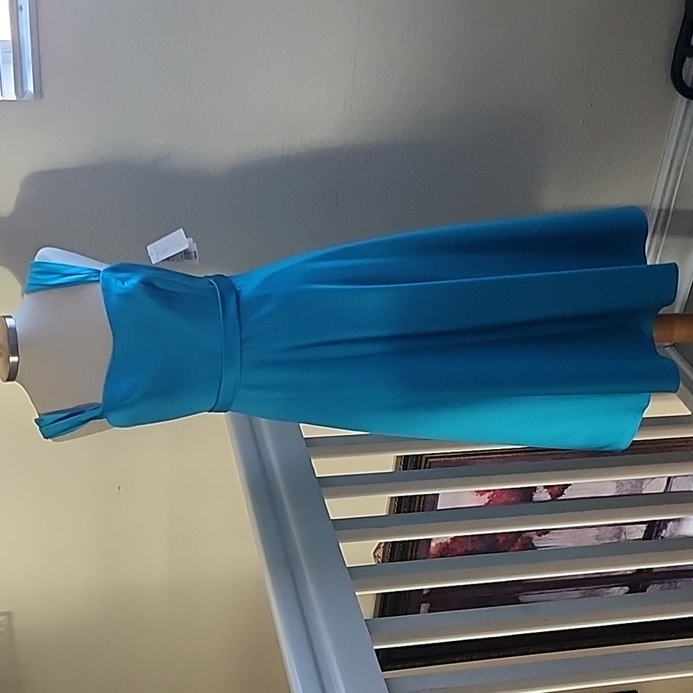 NWT Elegant Blue Sleeveless Dress